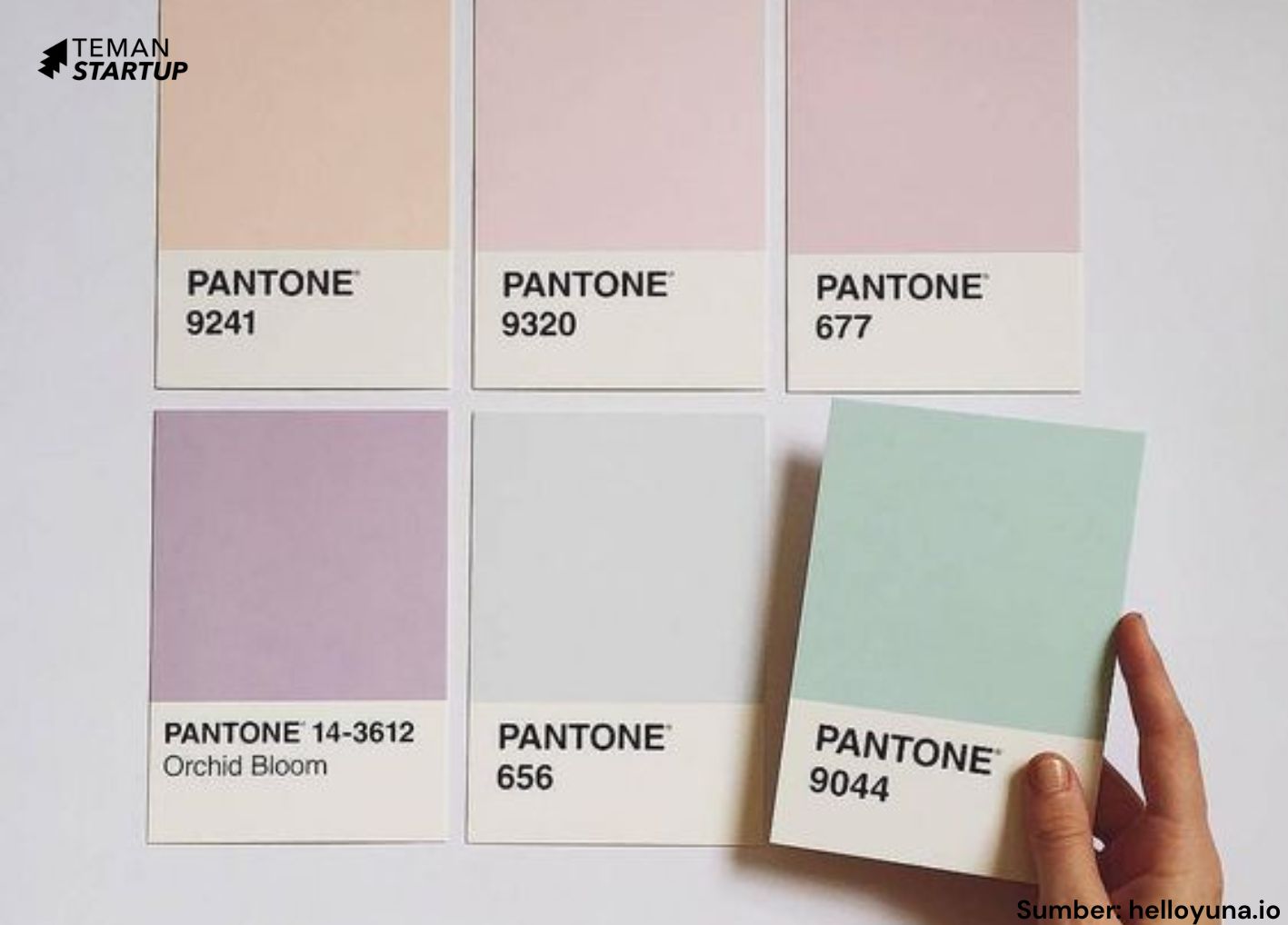 pemilihan-warna-buat-brand-itu-penting-teman-startup