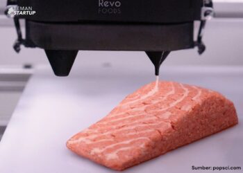 Makan Salmon Hasil 3D Printing?
